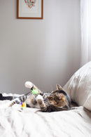 Twice Mice Cat Toys - 2 Pack