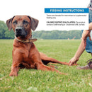 CORE 100% Salmon Freeze-Dried Raw Treats