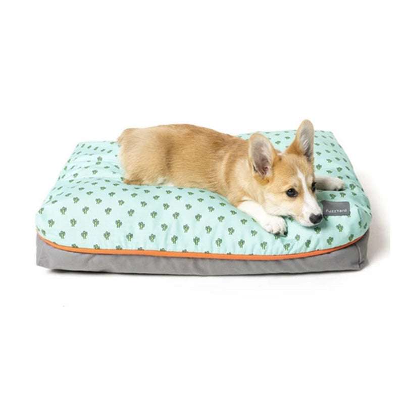 Big Dreamer Tucson Medium Dog Pillows