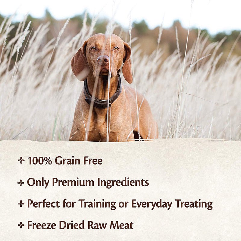 CORE 100% Salmon Freeze-Dried Raw Treats
