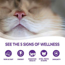 Complete Health Pate Turkey & Salmon Grain-Free Cat Food