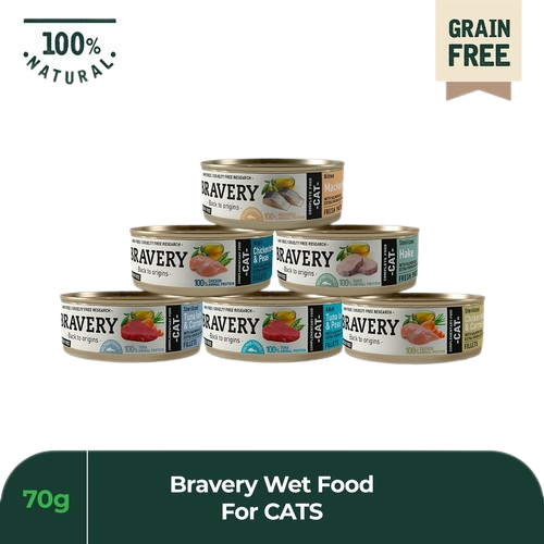 Grain-Free Sterilized Hake Canned Cat Food