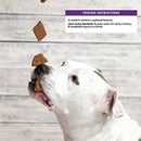 Complete Health WellBites Chicken & Venison Crunchy Dog Treats