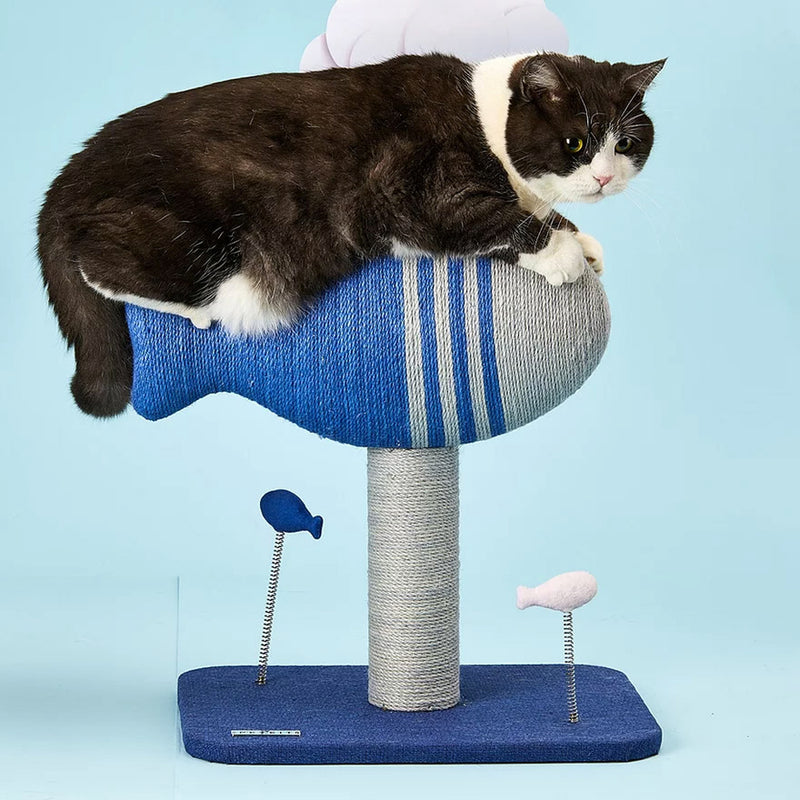 Flying Fish Cat Scratcher