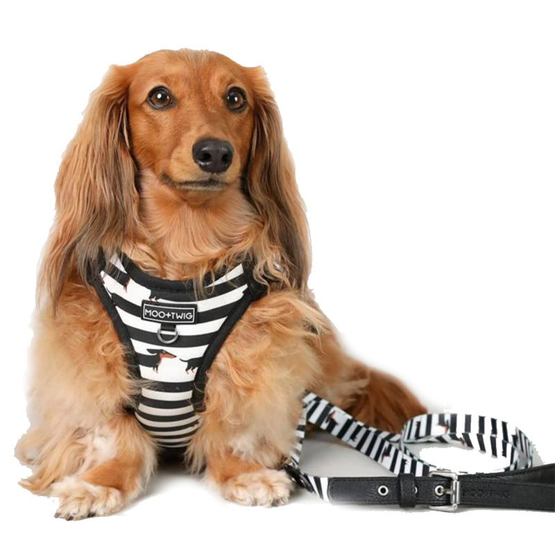 Vegan Leather Dog Leash - The Frankie