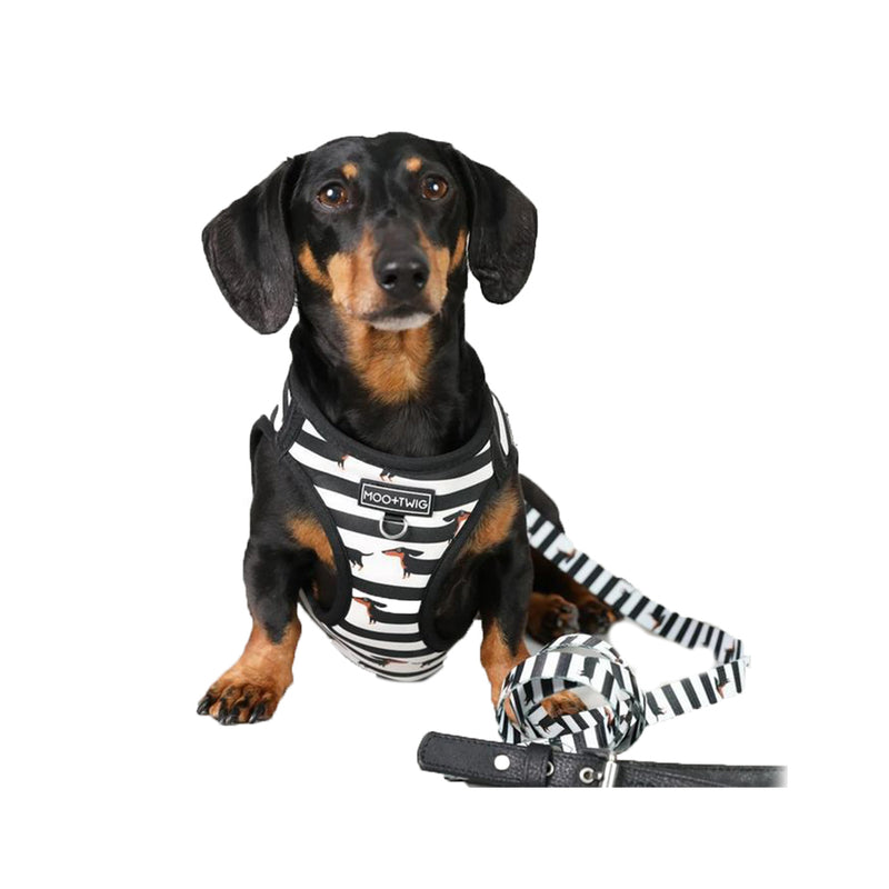Vegan Leather Step In Dog Harness - The Frankie