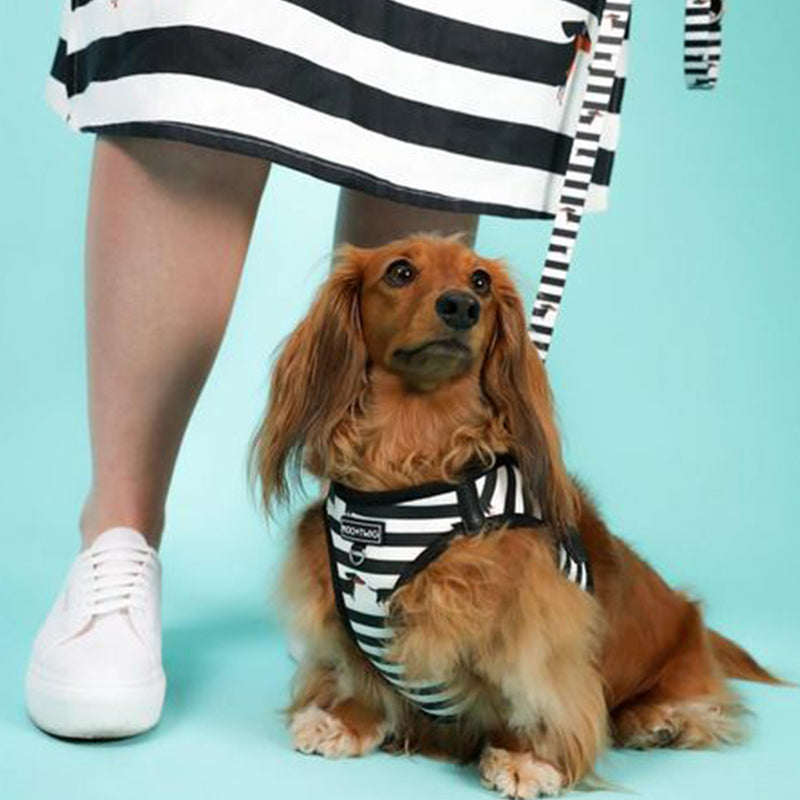 Vegan Leather Step In Dog Harness - The Frankie
