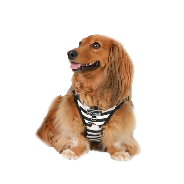 Vegan Leather Step In Dog Harness - The Frankie