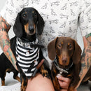 Vegan Leather Dog Collar - The Twiggy (Charcoal)