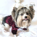 Velvet Hoodie Grey Dog Cat Apparel