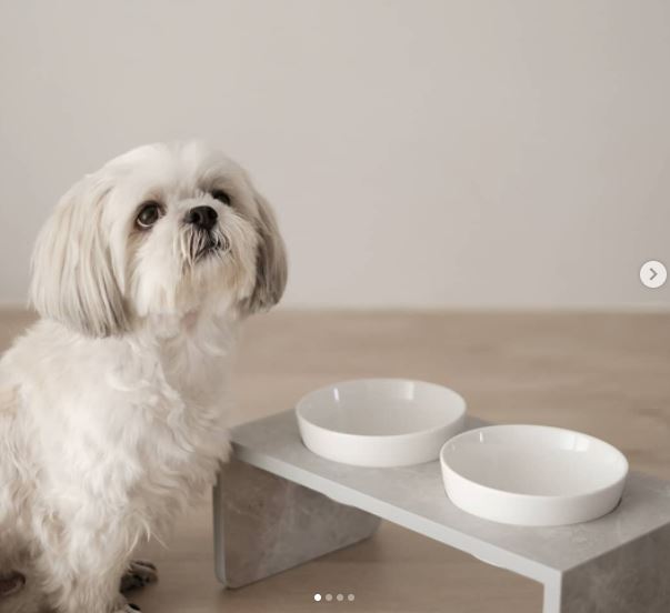 Geta Pet Tray - Without Bowl