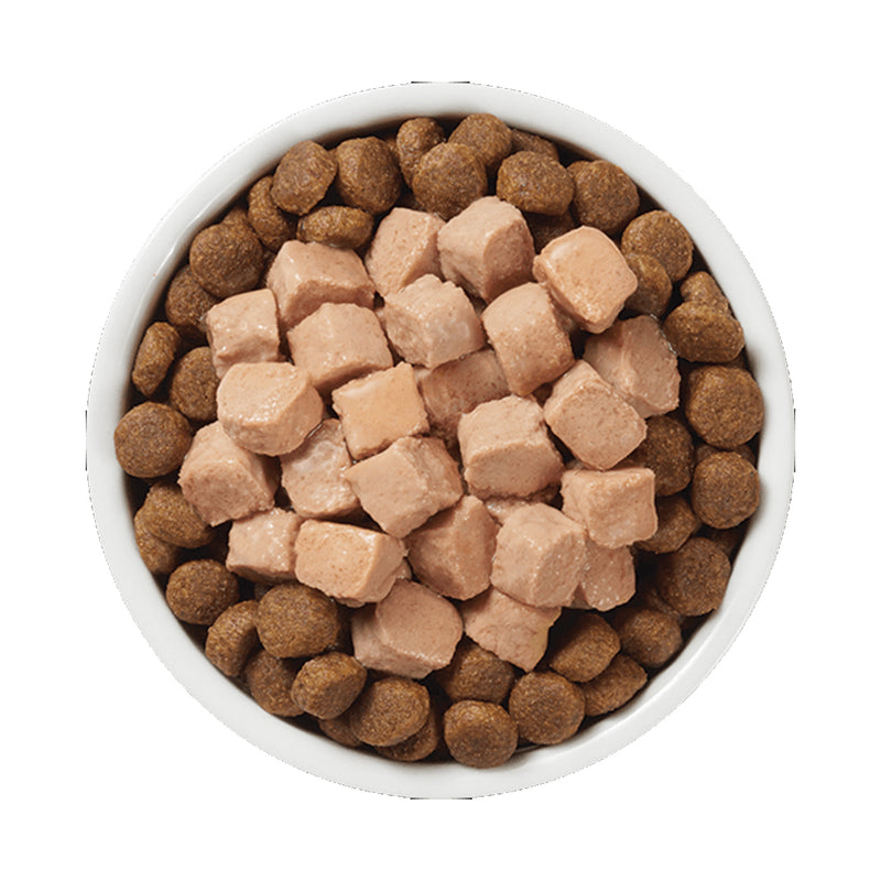 Grain Free Healthy Cravings Real Chicken Recipe Wet Dog Food