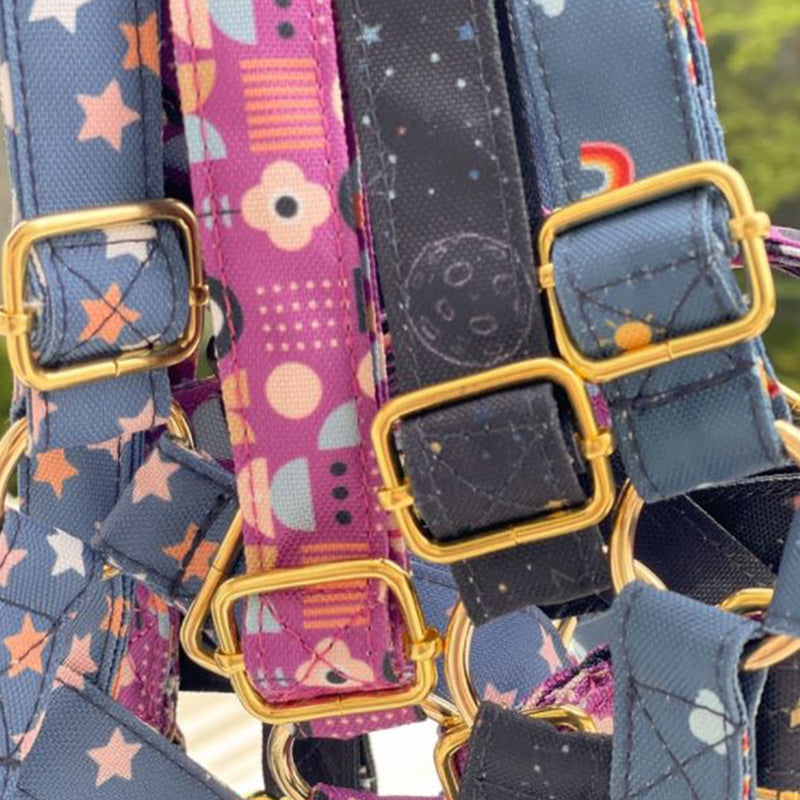 Starlight Walk In Dog Harness