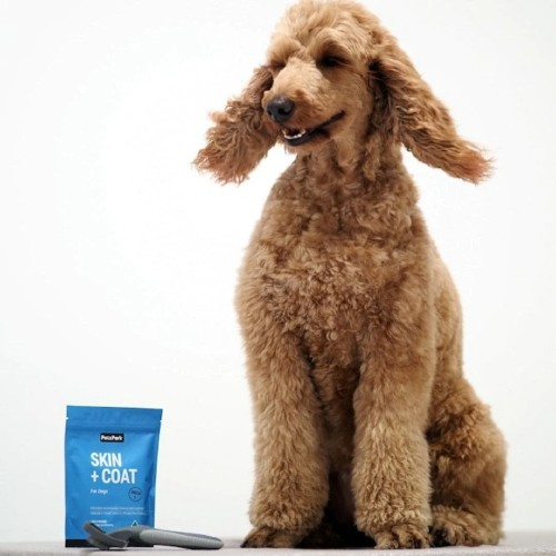 Skin+Coat with Omega 3 For Dogs