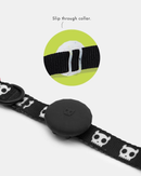 Jelly Air Tag Holder for Dog Collar