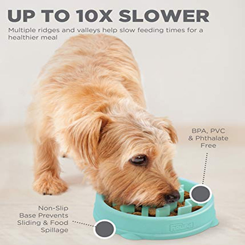 Fun Feeder Slo-Bowl Dog Bowl - Mint