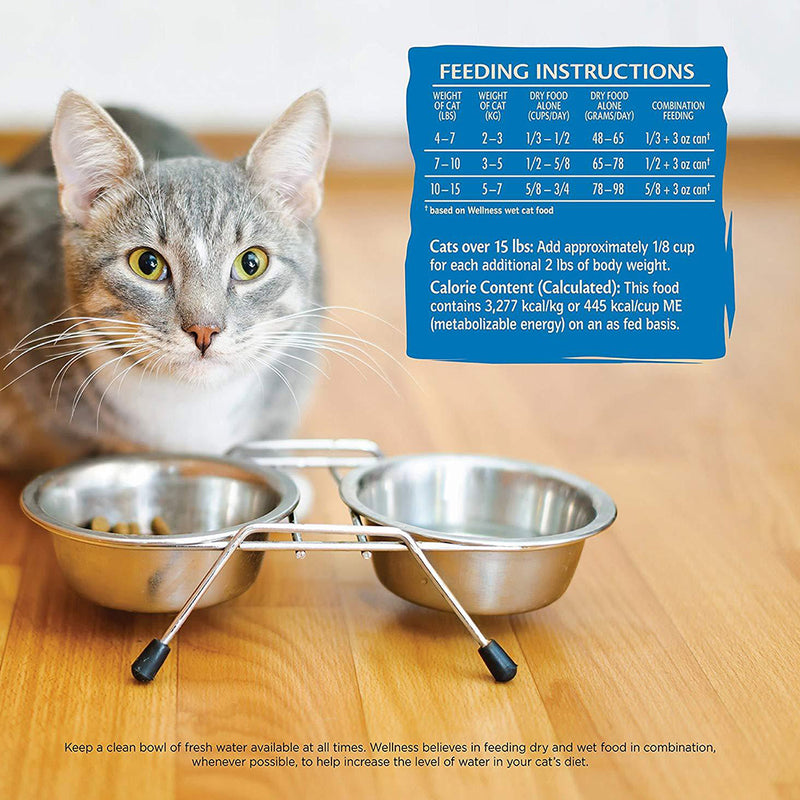 CORE Indoor Salmon & Herring Meal Recipe Dry Cat Food