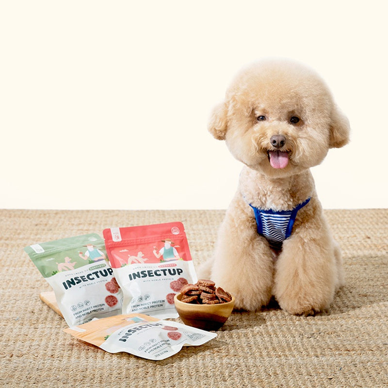 Noble Protein Horse Snacks for Dogs