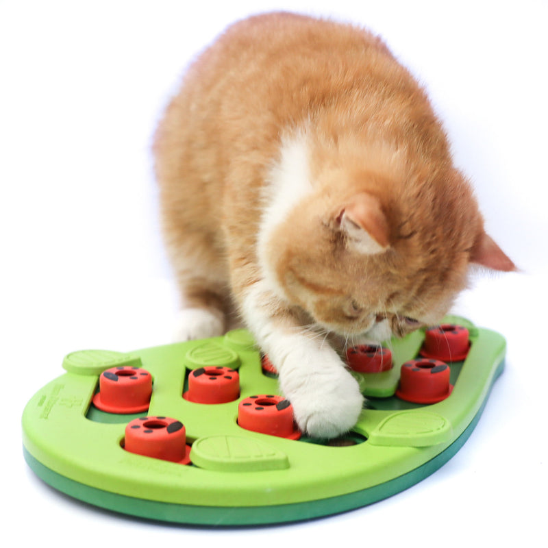 Petstages Buggin' Out Puzzle & Play Cat Toy