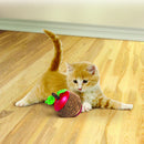 Scratch Apple Cat Toy