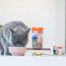 Canned Lamb & Salmon Cat Food