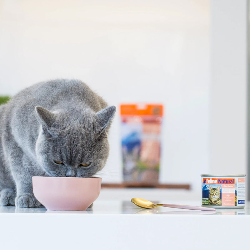 Canned Lamb & Salmon Cat Food