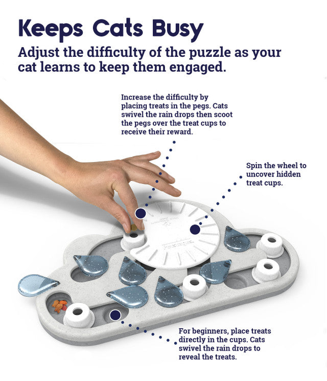 Petstages Rainy Day Puzzle & Play Cat Toy