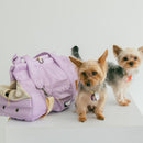 Comfy Cushion And Poop Bag Pocket Dog Bag