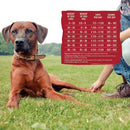 CORE Lamb & Lamb Meal Recipe Grain-Free Dry Dog Food