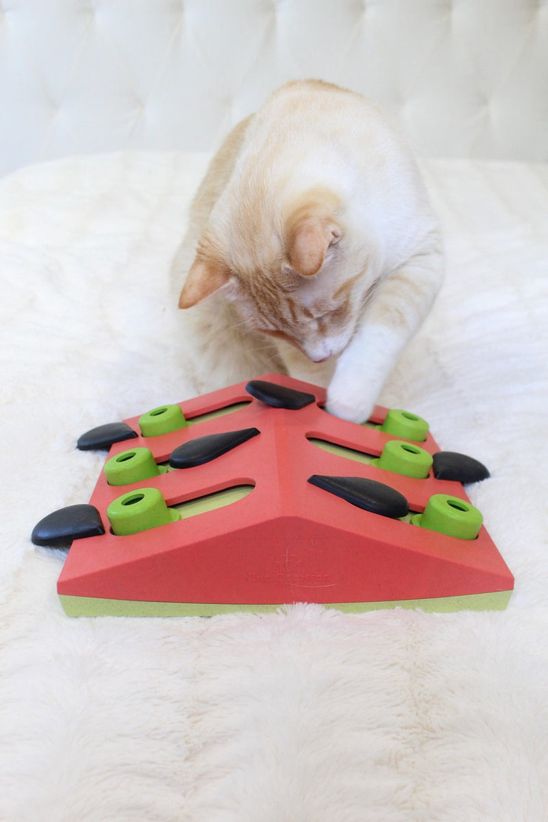 Petstages Melon Madness Puzzle & Play Cat Toy