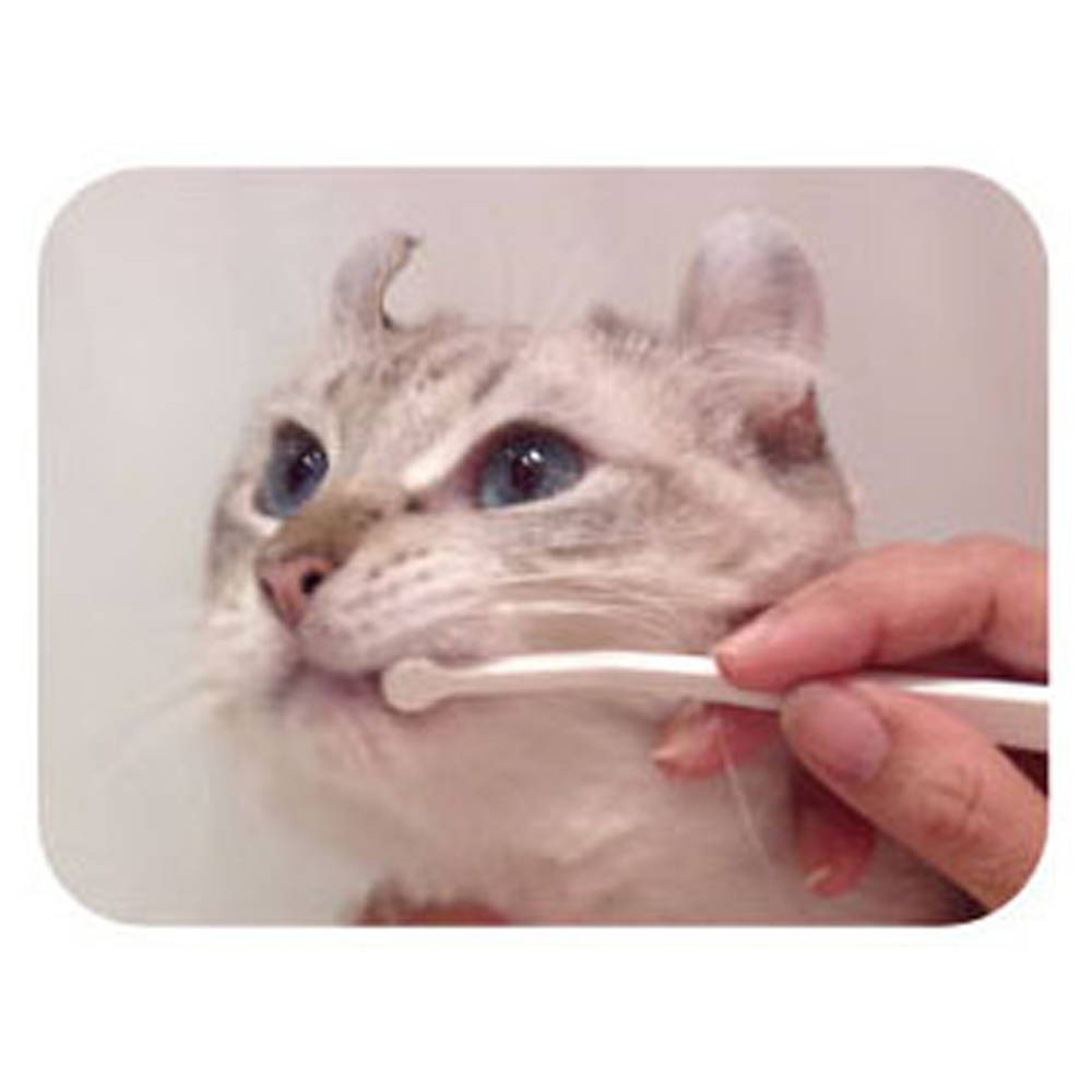 Happy cat toothbrush hot sale
