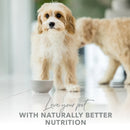Lactose Free Milk For Dogs