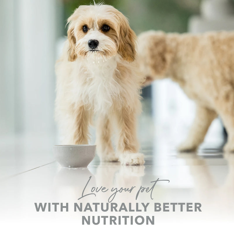 Lactose Free Milk For Dogs