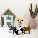 Mini Frenz - Hazel The Koala Dog Toy