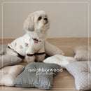 Mini Pillow For Pets