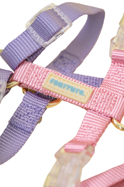 Fourrure Pink Purple Harness For Pets