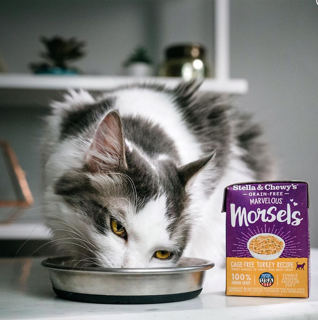 Marvelous Morsels Cage-Free Turkey Recipe Cat Wet Food