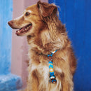 Marrakesh Yansun H-Harness