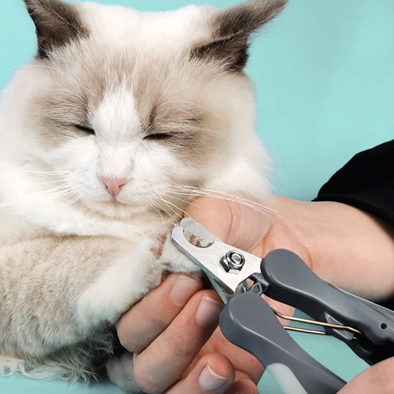 T9 Pet Nail Scissors For  Dogs and Cats  - L