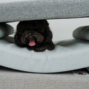 Neru Two Dogs and Cats Bed