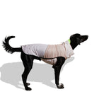 Oatmeal Packable Raincoat