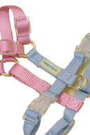 Fourrure Pink Blue Harness For Pets