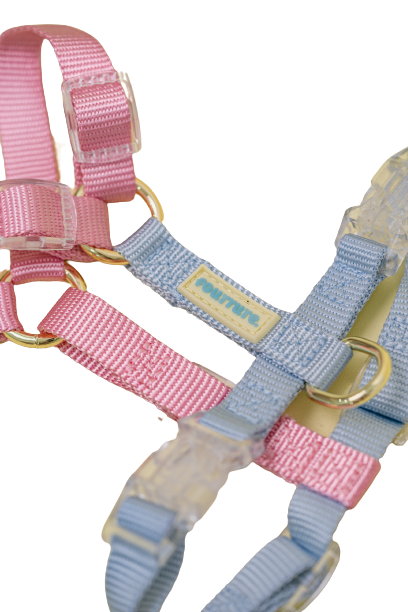 Fourrure Pink Blue Harness For Pets