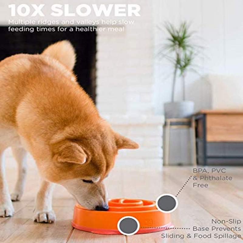 Fun Feeder Slo-Bowl Dog Bowl - Orange