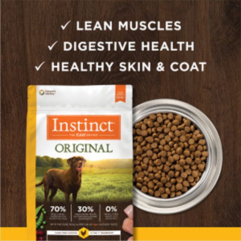 Original Grain-Free Chicken Recipe Dry Dog Food - 4lb