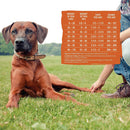 CORE Original Deboned Turkey, Turkey Meal & Chicken Meal Recipe Grain-Free Dry Dog Food