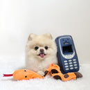 Hide N Seek - Pawkia Dog Toy