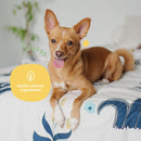 Coat Spray Lavender For Dogs And Cats Smell