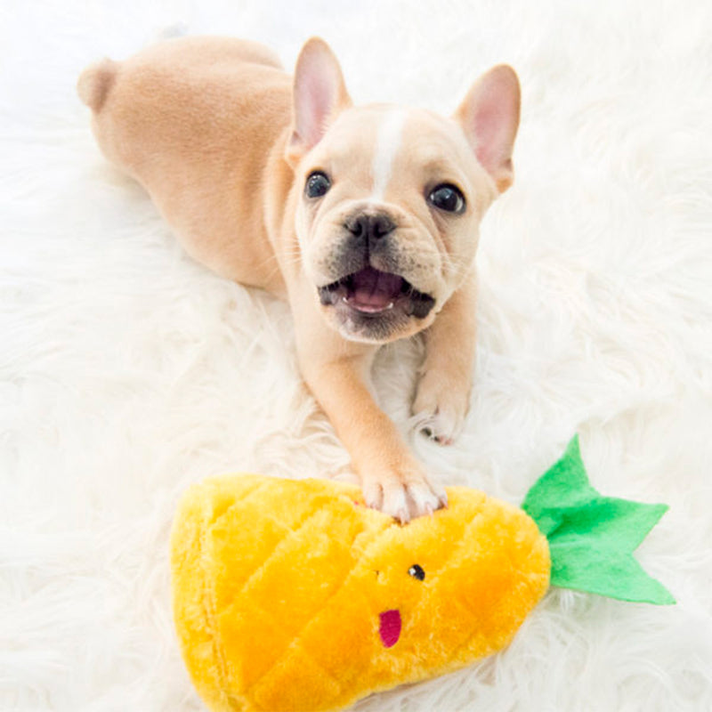 NomNomz - Pineapple Dog Toy