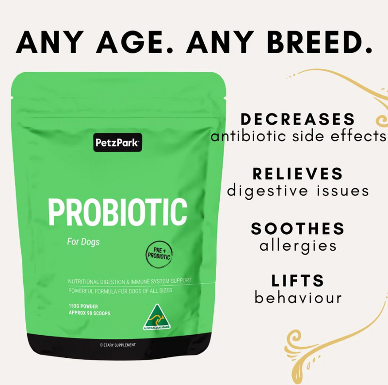 Probiotic Digestion and Immune System For Dogs